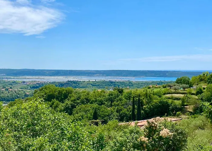 Apartma Hill * ポルトローシュ